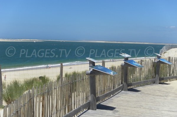 View on the bank of Arguin from Petit Nice beach