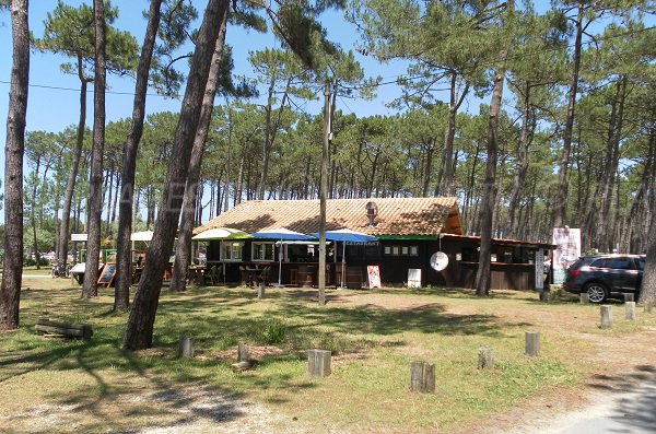 Forêt domaniale de La Teste - plage du Petit Nice