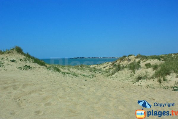 Dunes on Petit Pont beach in Brétignolles-sur-Mer 