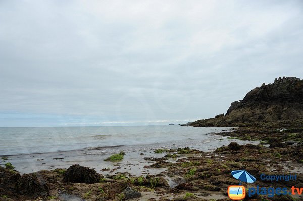 Côte autour de la plage du Petit Port - Cancale