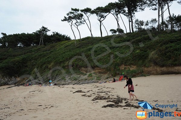 Plage du Petit Port Cancale (35) Ille-et-Vilaine Bretagne 