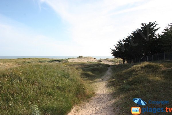 Access to the Sochard beach in Saint Jean de Monts