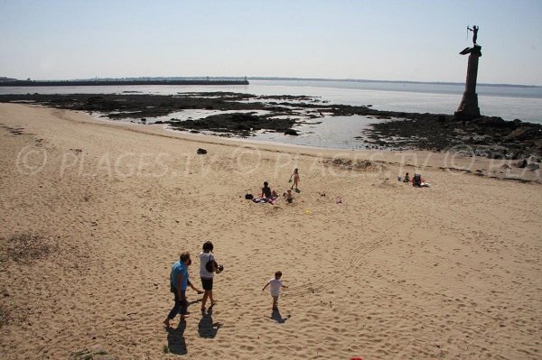 Sammy sur la Grande Plage de St Nazaire