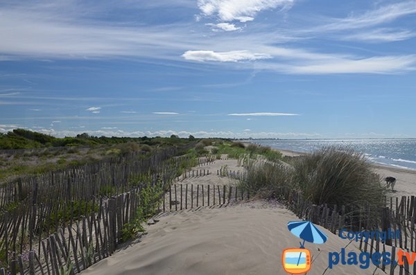 Photo des dunes de la plage du Petit Travers à Carnon