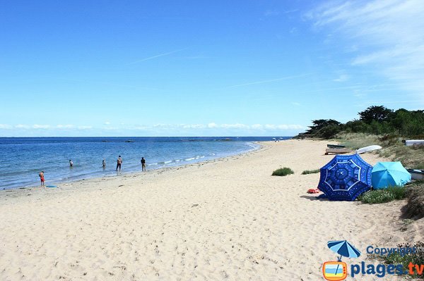 Photo of Petite Conche beach in Ile d'Yeu in France