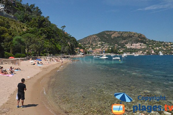 Baignade sur la plage de la Petite Fontaine à Théoule sur Mer