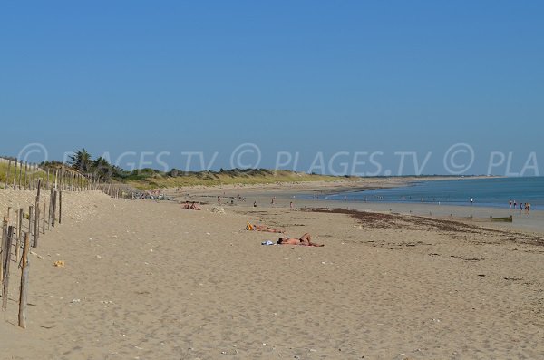 Plage de sable à Couarde sur Mer sur l'île de Ré