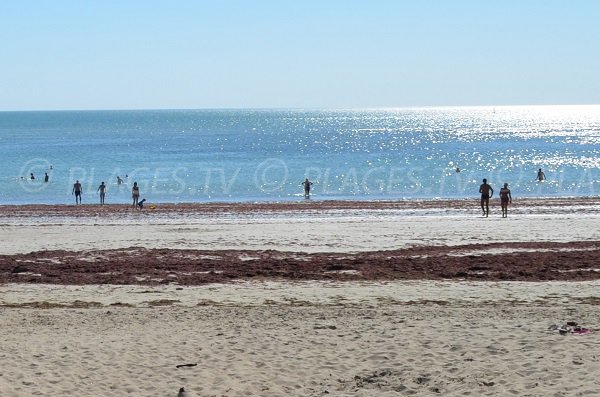 Spiaggia Peu Ragot - Ile de Ré - La Couarde sur Mer