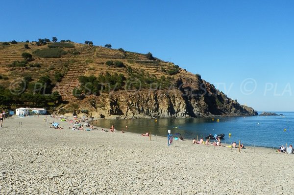 Photo de la plage de Peyrefite de Cerbère avec vue sur la pointe d'En Cames