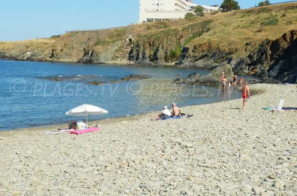 Spiaggia del Cap de Peyrefite a Cerbère