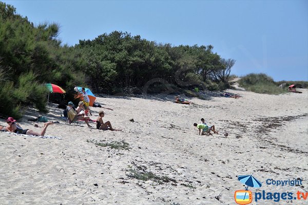 Shade beach in Brignogan - Le Phare