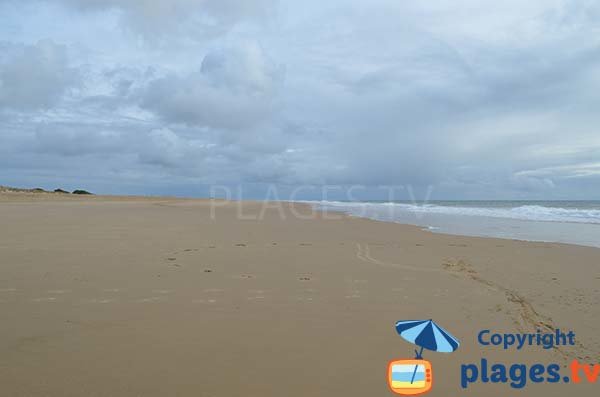 Beach of lighthouse of Coubre - La Palmyre