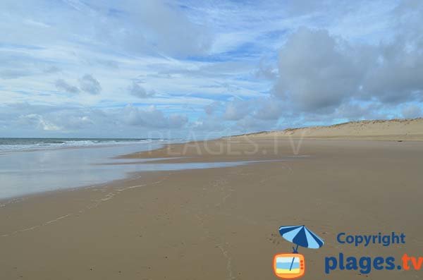 Great beach on the Wild Coast of La Tremblade - Coubre