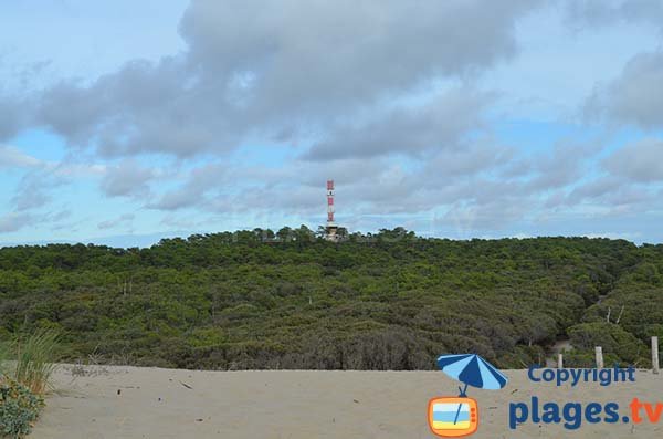 Forêt de La Tremblade depuis la plage du phare