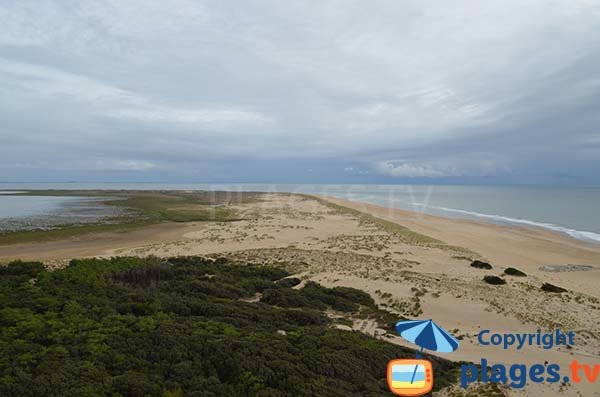 Plage de la Coubre au niveau de Bonne Anse - La Tremblade