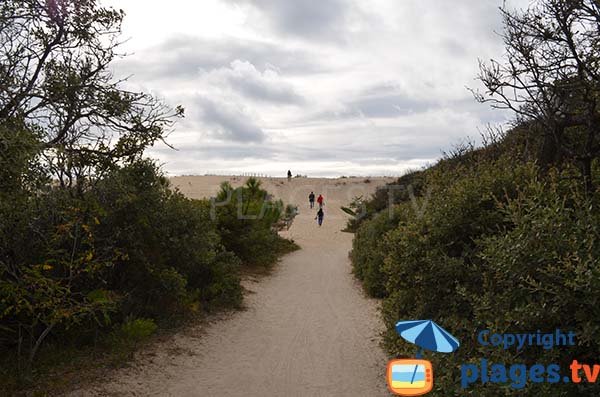 Access to Coubre beach - La Tremblade