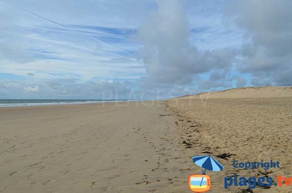 Beach in La Tremblade ocean side - Old Lighthouse