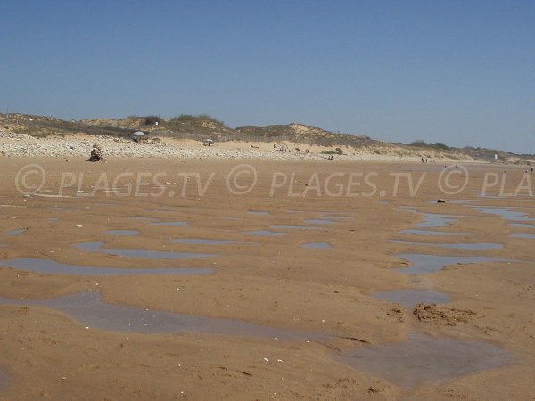 Dunes de la plage du Phare à La Tranche sur Mer