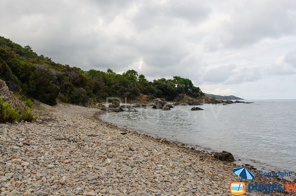 Vue nord de la plage de Pianicci - Sud de Solenzara