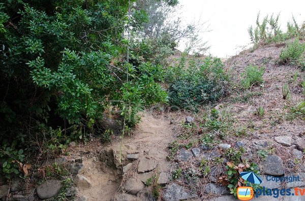 Access to the Pianicci beach - Solenzara