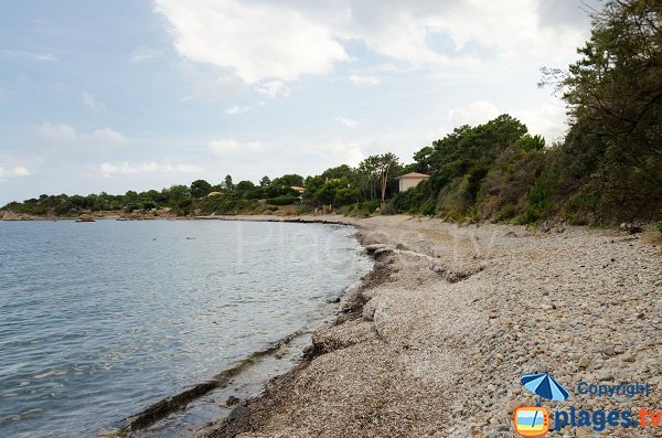 Photo of Pianicci beach in Solenzara - Corsica