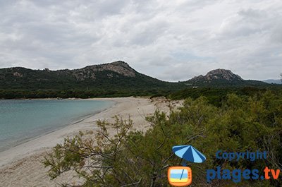 Beach in Pianottoli Caldarello in Corsica