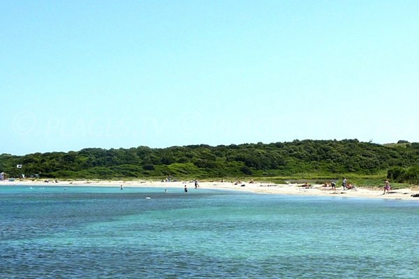 Spiaggia di Piantarella - Sperone - Bonifacio