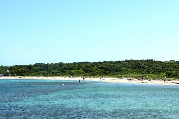 Plage de Piantarella - Sperone - Bonifacio