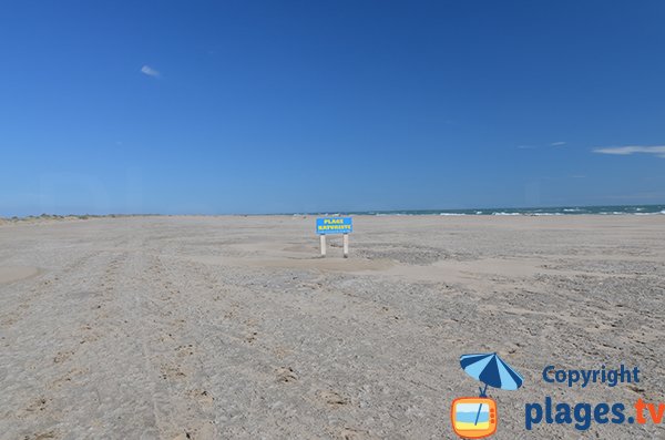 Foto della spiaggia naturista di Piémanson