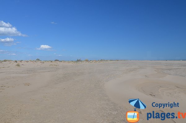 Dunes de la plage de Piemanson