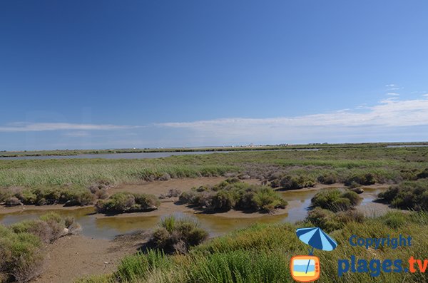 Car park and ponds on the Piémanson beach