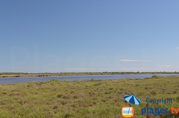 Teich und Strand von Piémanson