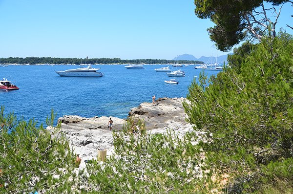 Plage avec des rochers sur les Iles de Lérins - Ste Marguerite