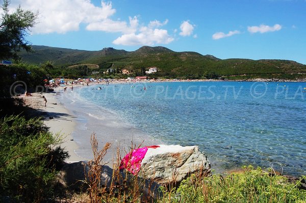 Sand beach in Cap Corse - Marine of Pietracorbara