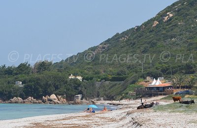 Spiaggia di Pietrosella - Corsica