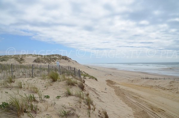 Environnement de la plage de Naujac sur Mer en Gironde