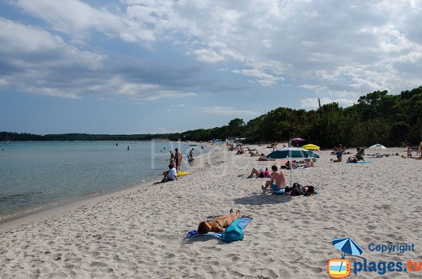 Foto della spiaggia di Pinarellu - Corsica