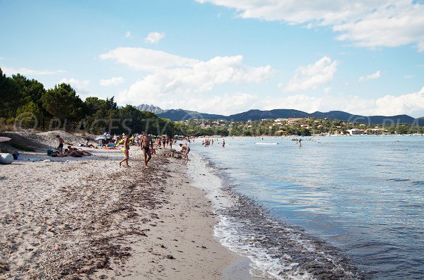 Plage de Pinarello vers le nord - Sainte Lucie de Porto Vecchio