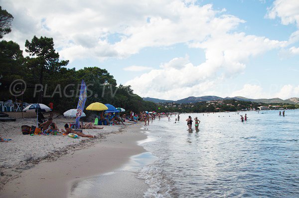 Plage de Pinarellu avec sa pinède - Zonza