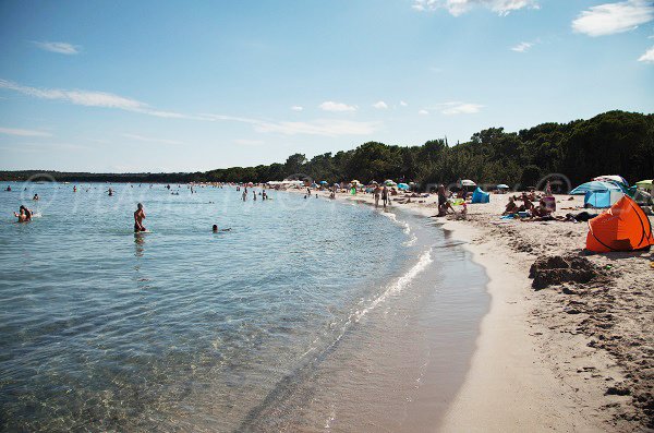 Foto della spiaggia di Pinarellu in Corsica  - Sainte Lucie de Porto-Vecchio