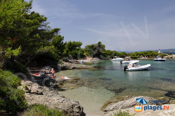 Plage à coté de la pinède sur les iles des Embiez