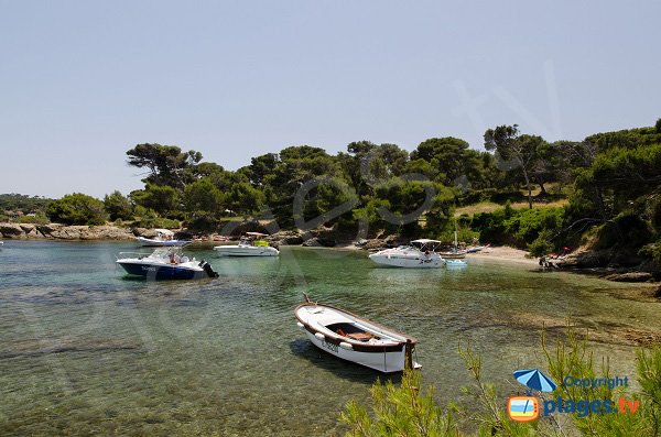 Photo of Pinède beach in Embiez island in France