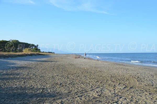 Grande plage de sable à Pineto en Corse