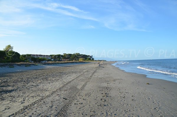 Photo de la plage de Pineto à Lucciana en Corse