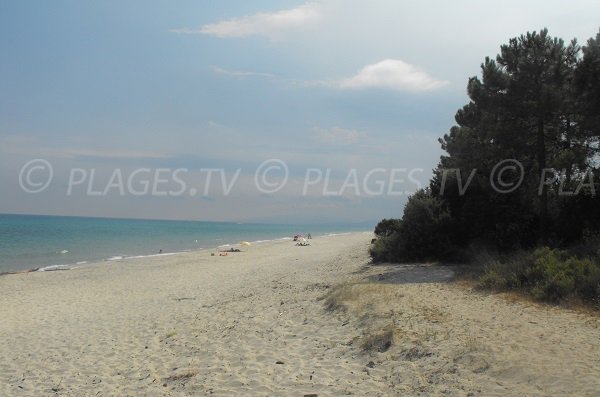 Wild beach in Ghisonaccia in Corsica