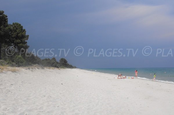 Photo de la plage de Pinia - Corse Ghisonaccia