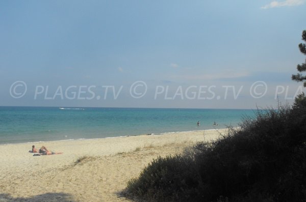 Photo of Pinia beach in Corsica in summer