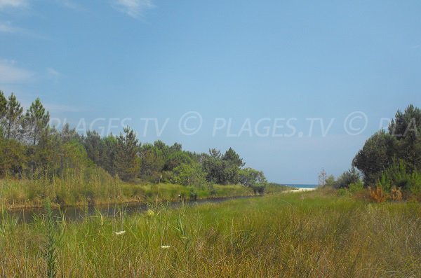 Cours d'eau à Pinia avec vue sur la plage