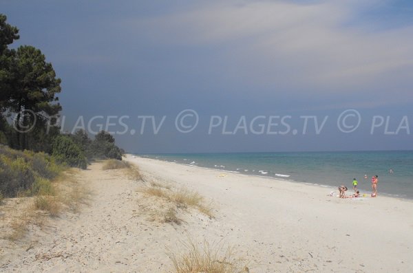 Pinia beach in Ghisanaccia in Corsica