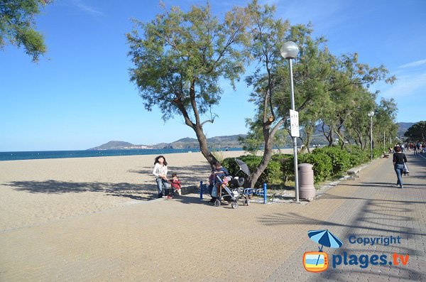 Access to the Pins beach in Argelès sur Mer